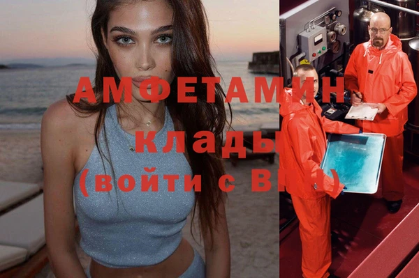 молекула духа Алзамай