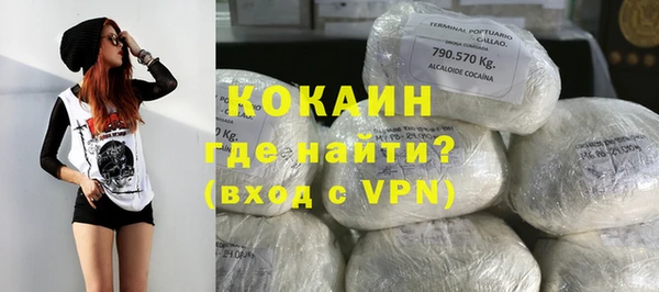 молекула духа Алексин