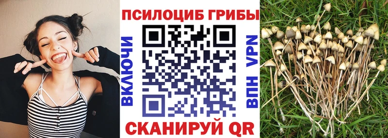 Галлюциногенные грибы мицелий  Кулебаки 