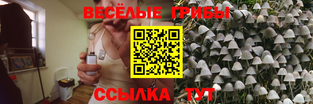 Галлюциногенные грибы Magic Shrooms  Галлюциногенные грибы мухоморы  Вход с VPN  Кулебаки 